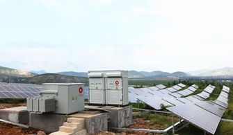 牛 國(guó)內(nèi)首家 不用電 水泥廠即將誕生